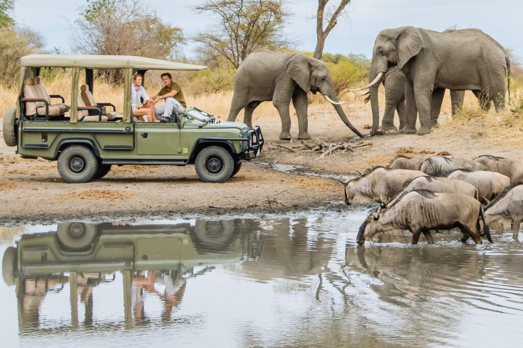 Game drive in Lake Manyara national park | Tanzania Wildlife