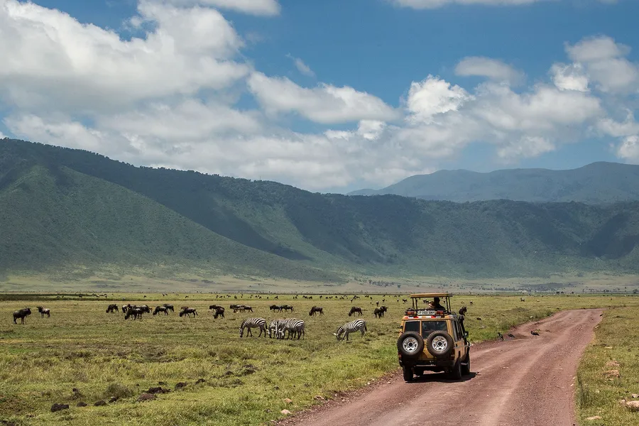 Unesco World Heritage Site Ngorongoro Crater African Wildlife